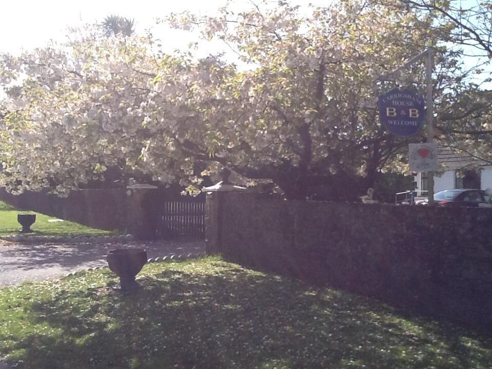 Carrigshane House Panzió Midleton Kültér fotó
